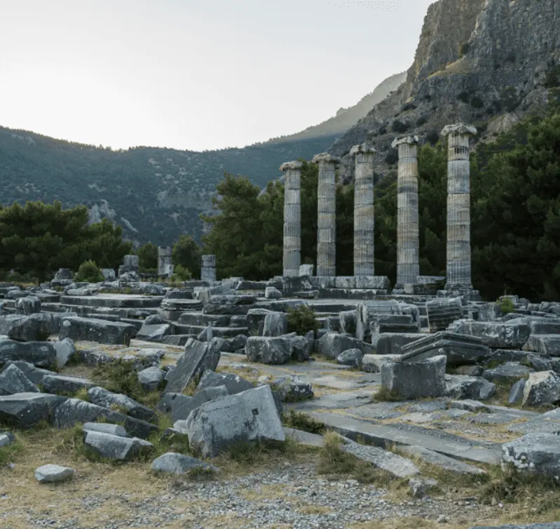 Columns of the Temple of Athena and ancient remains at Priene
