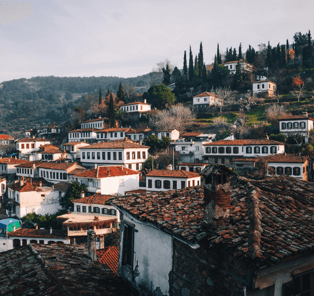 Whitewashed houses and red-tiled roofs on a hillside in an Aegean village